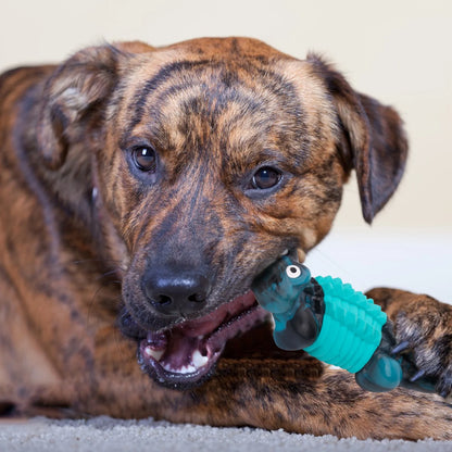 Tough Dog Toys,Dog Toys for Aggressive Chewers,Indestructible Dog Toys for Large Breed,Durable Dog Toys for Large Dogs,Bacon Flavor,Green